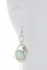Druzy/Crystal Drop earring